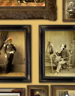 Colnel Fox (and friends), Mustard