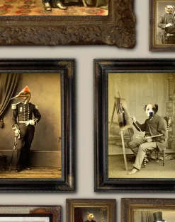 Colnel Fox (and friends), Taupe