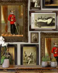 Colnel Fox (and friends), Taupe