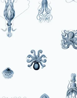 Consortium, Nantucket