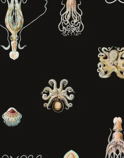 Consortium, Noctaluca