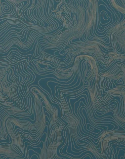 Contour, Gold on Blue