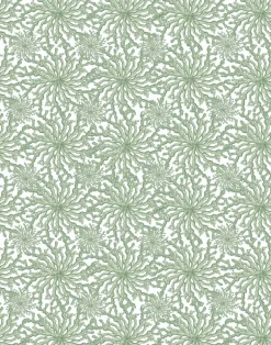 Coral Haze, Sage Green