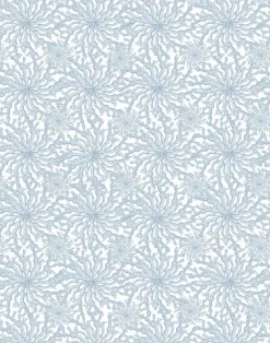 Coral Haze, Sky Blue