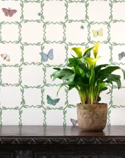 Creepy Crawlies, Stone