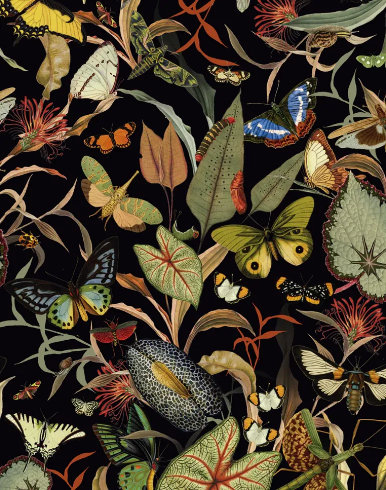 Dark Butterfly Wallfabric