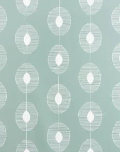 Dewdrops, Eucalyptus