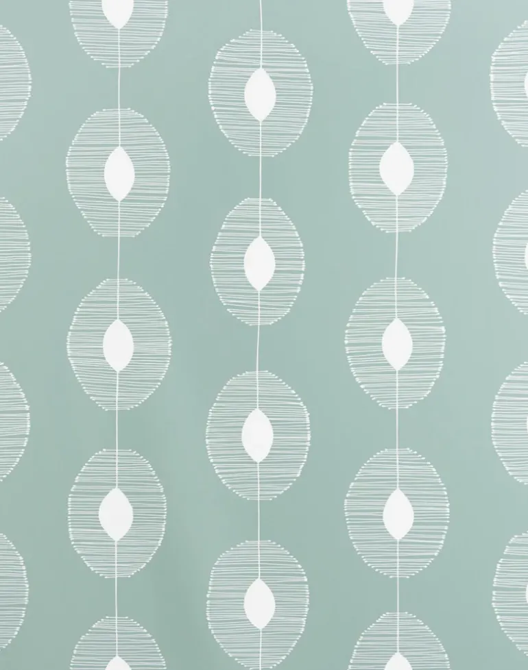 Dewdrops, Eucalyptus