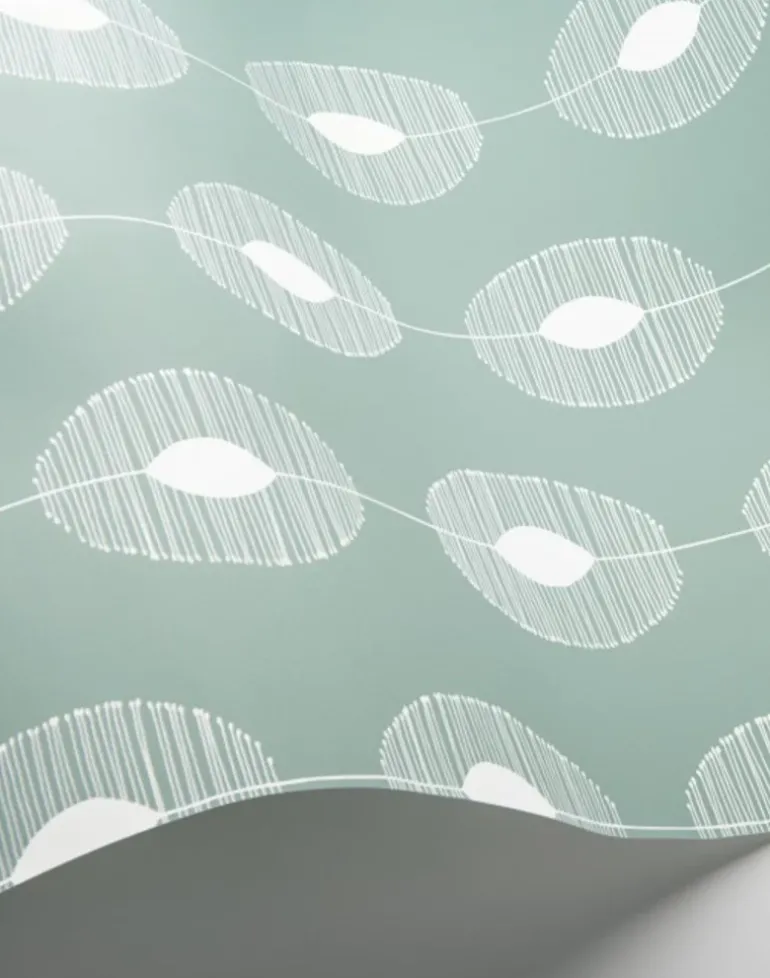 Dewdrops, Eucalyptus