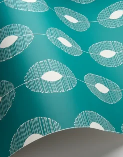 Dewdrops, Ionian Sea