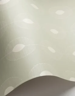 Dewdrops, Polished Stone