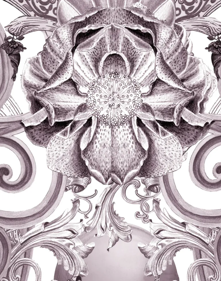 Europa W-EUR-PLU-TMI