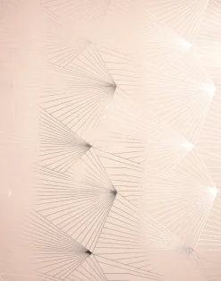 Fan, Silver & Nude Pink