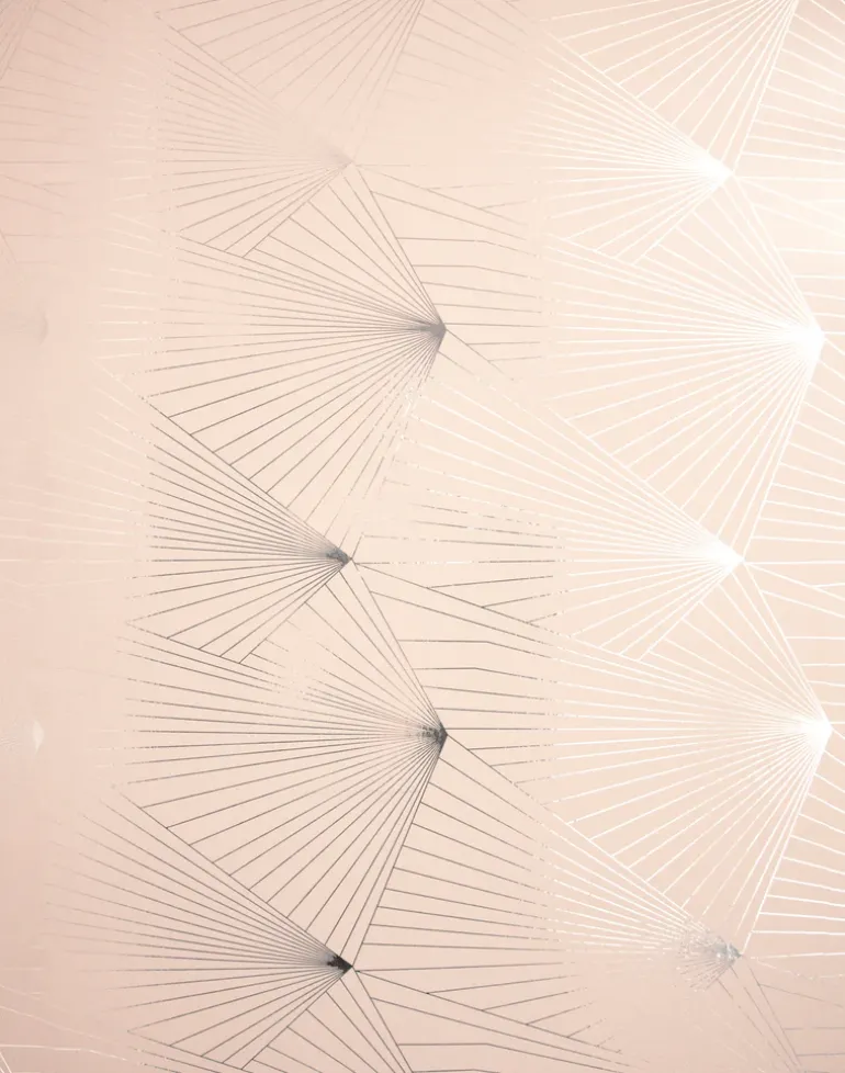 Fan, Silver & Nude Pink