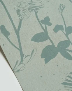 Feather Plant, Aquamarine