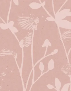 Feather Plant, Blush