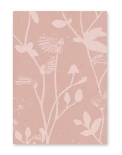 Feather Plant, Blush