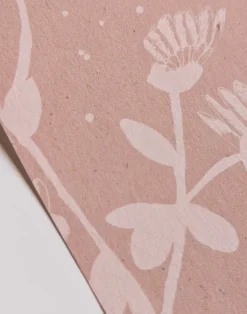 Feather Plant, Blush