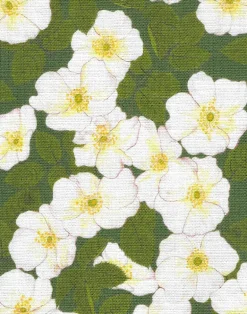 Field Rosa Fabric, Fennel Green