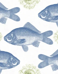 Fish, Blue