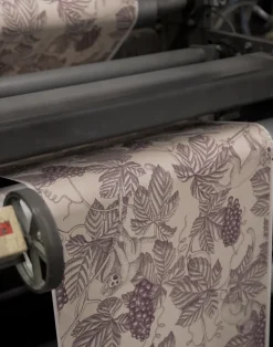 Grape Thief, Burgundy