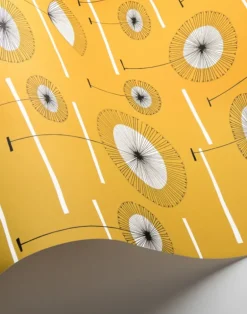 Grasslands, Radiance