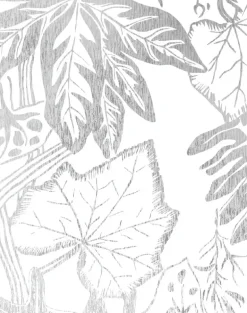 Hothouse, Silver & White