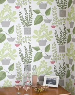 House Plants, Blue Room