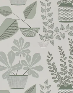 House Plants, Brampton