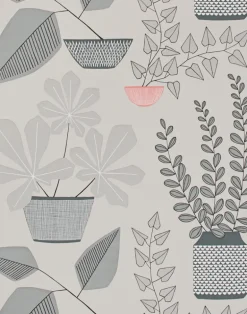 House Plants, Pompeii