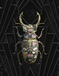 Insects Noir, Lucanidea Botanicus