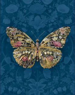 Insects Noir, Papilio Botanicus Petrol