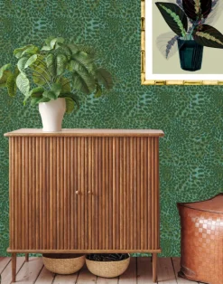 Leopard, Peppermint Cream