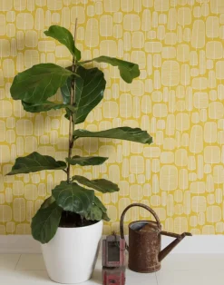 Little Trees, Hurricane