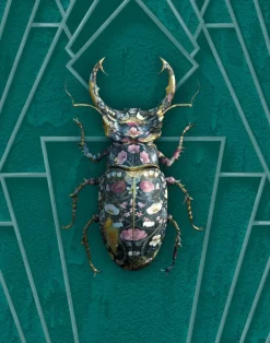 Lucanidae Botanicus in Emerald