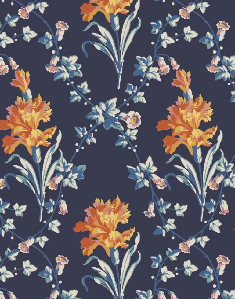 Lumière du Matin 002