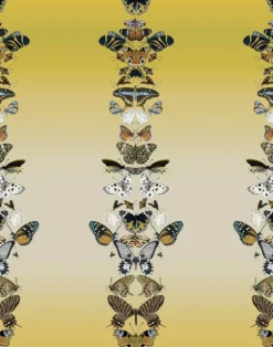 Metamorphosis W-MET-IYE-EZF