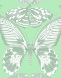 Metamorphosis W-MET-NMI-EZF