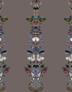 Metamorphosis W-MET-SAD-ENF