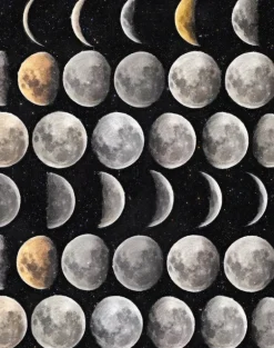 Moon Phases