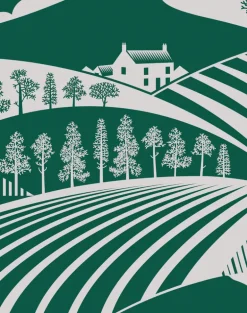 Moordale, Douglas Fir