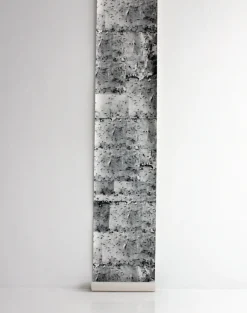 Notice Board in Hastings