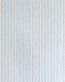 Painter's Stripe, Blue