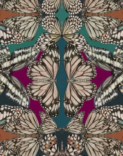 Papilio, Jewel