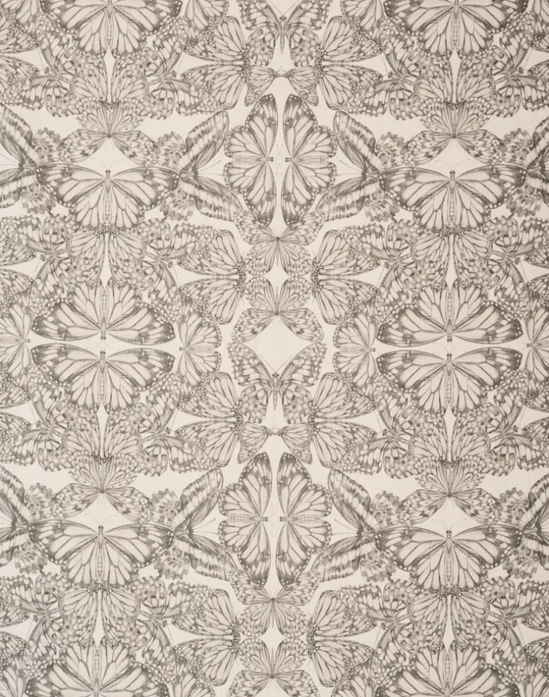 Papilio, Parchment - Linen Oyster