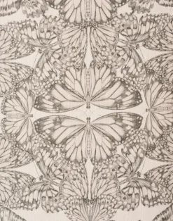 Papilio, Parchment - Linen Oyster