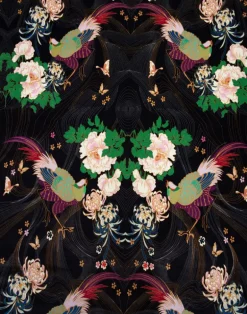Phoenix Black, Velvet Fabric
