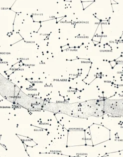 Polaire, Vintage White