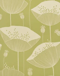 Poppy, Cottage Garden