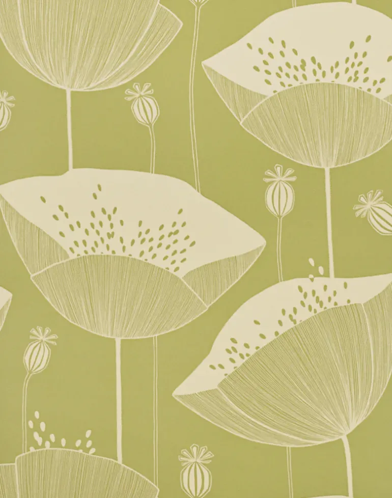 Poppy, Cottage Garden